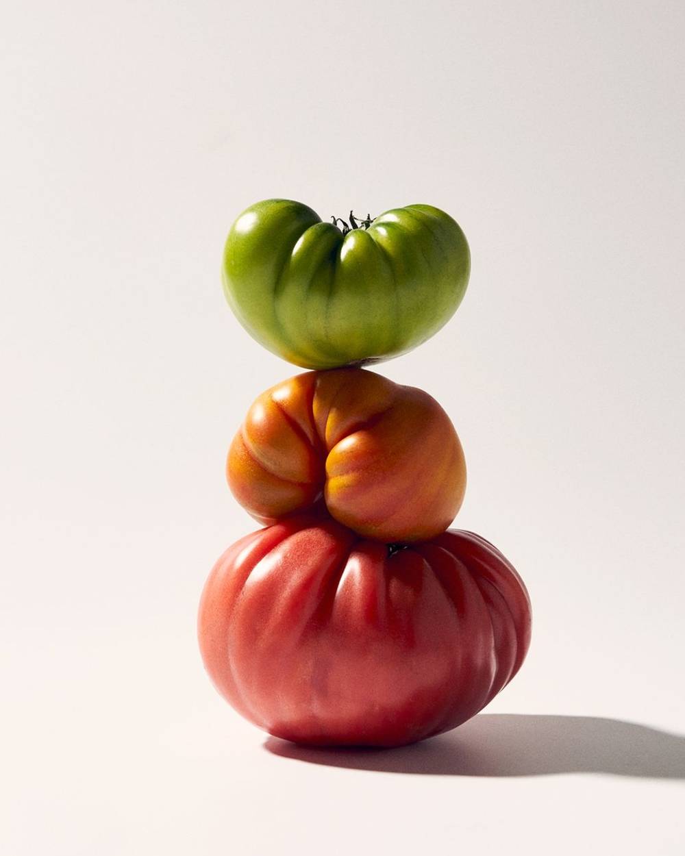 Still Life with Tomatoes cover image