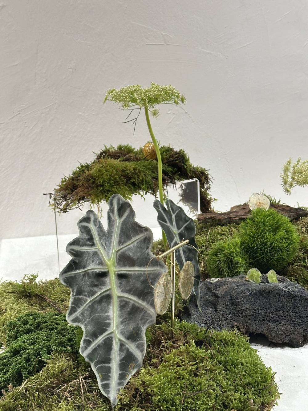 Suspended Green cover image